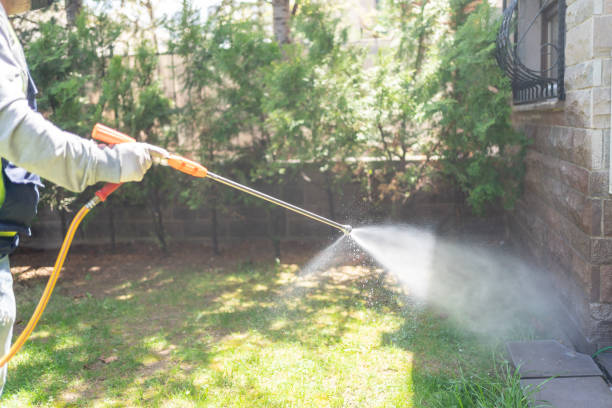 Wasp Removal Services in Nissequogue, NY